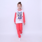 <?php echo htmlspecialchars($product->name);?>