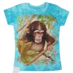 <?php echo htmlspecialchars($product->name);?>